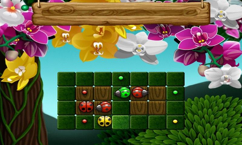 Bug Quest