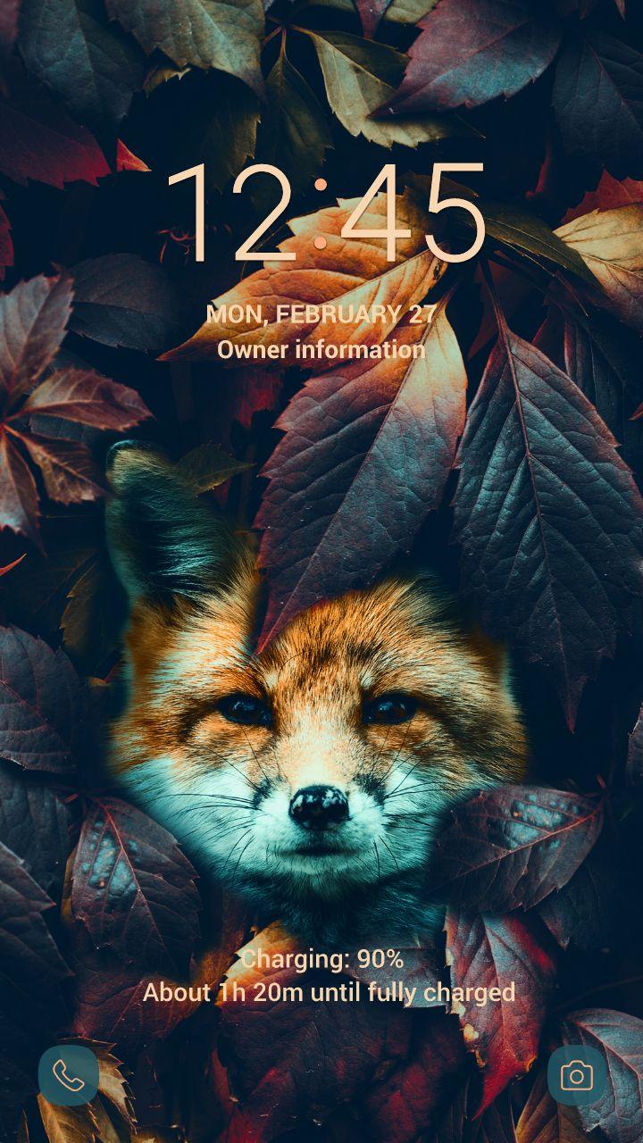 Fuchs In Den Blättern