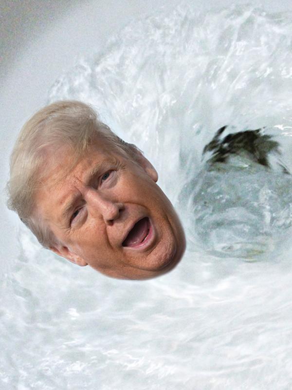 Dummköpfe, verdammte Dummköpfe und Donald Trump