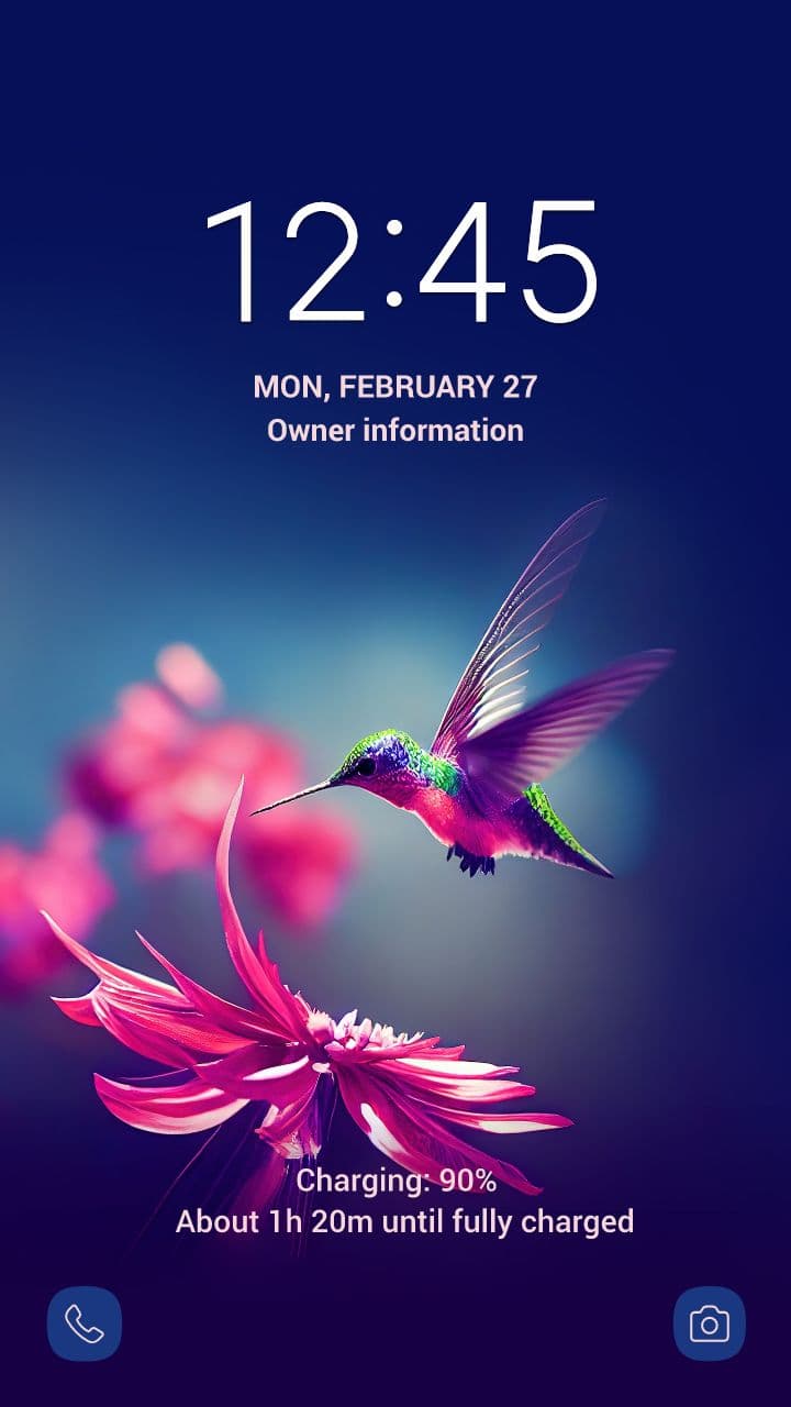 Schöner Kolibri-Fliegen