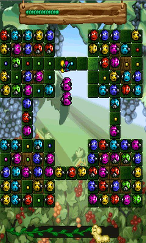 Bug Quest