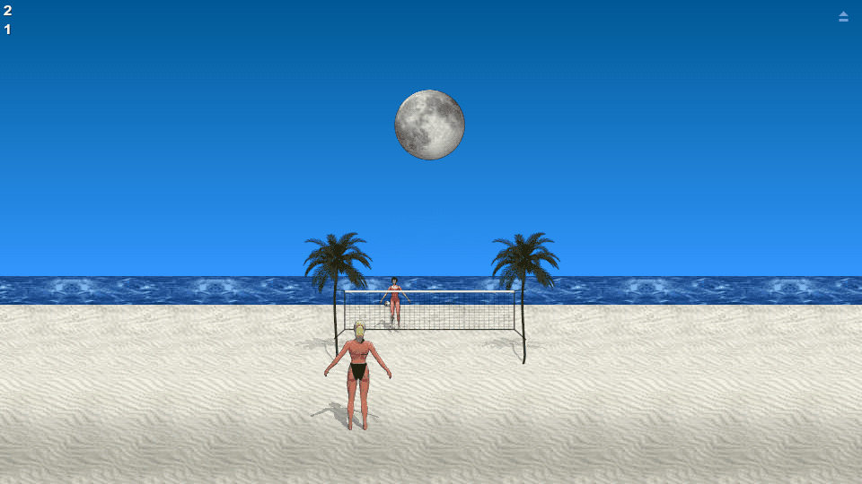 Beach Volleyball