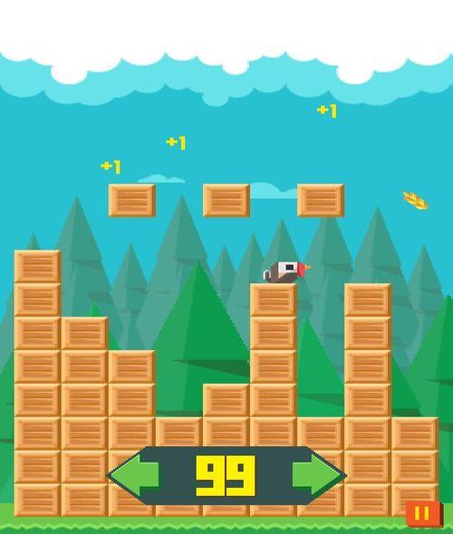 Birdy Run