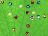 Splat De Bugs