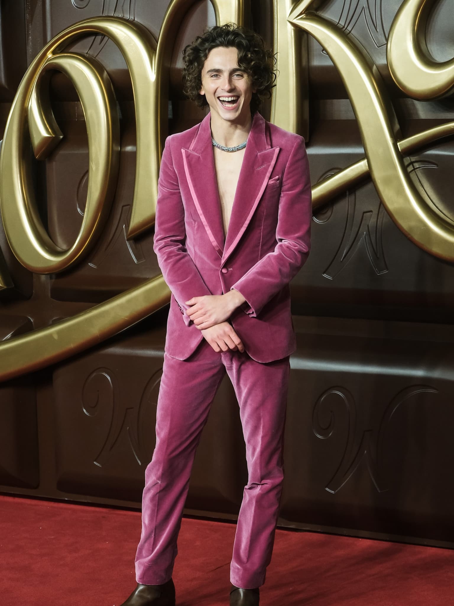 Timothée Chalamet musste singen können, um Wonka im Prequel von 'Charlie und die Schokoladenfabrik' spielen zu können