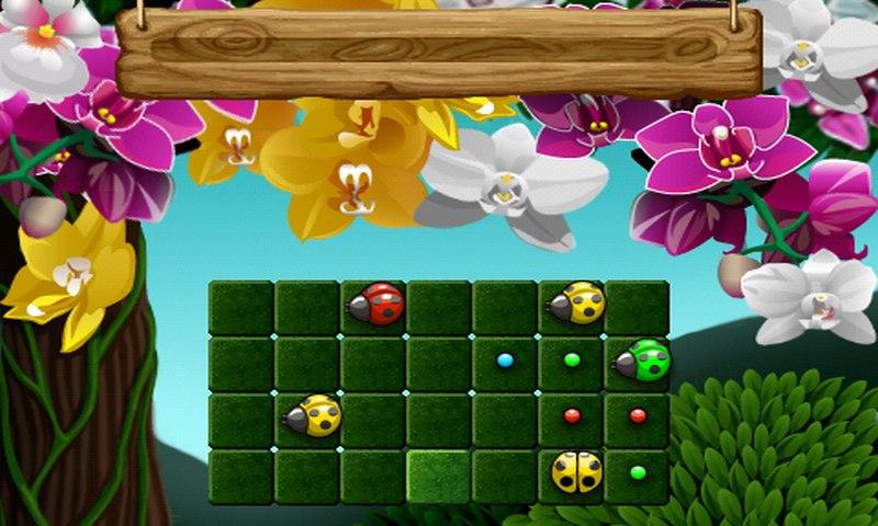 Bug Quest