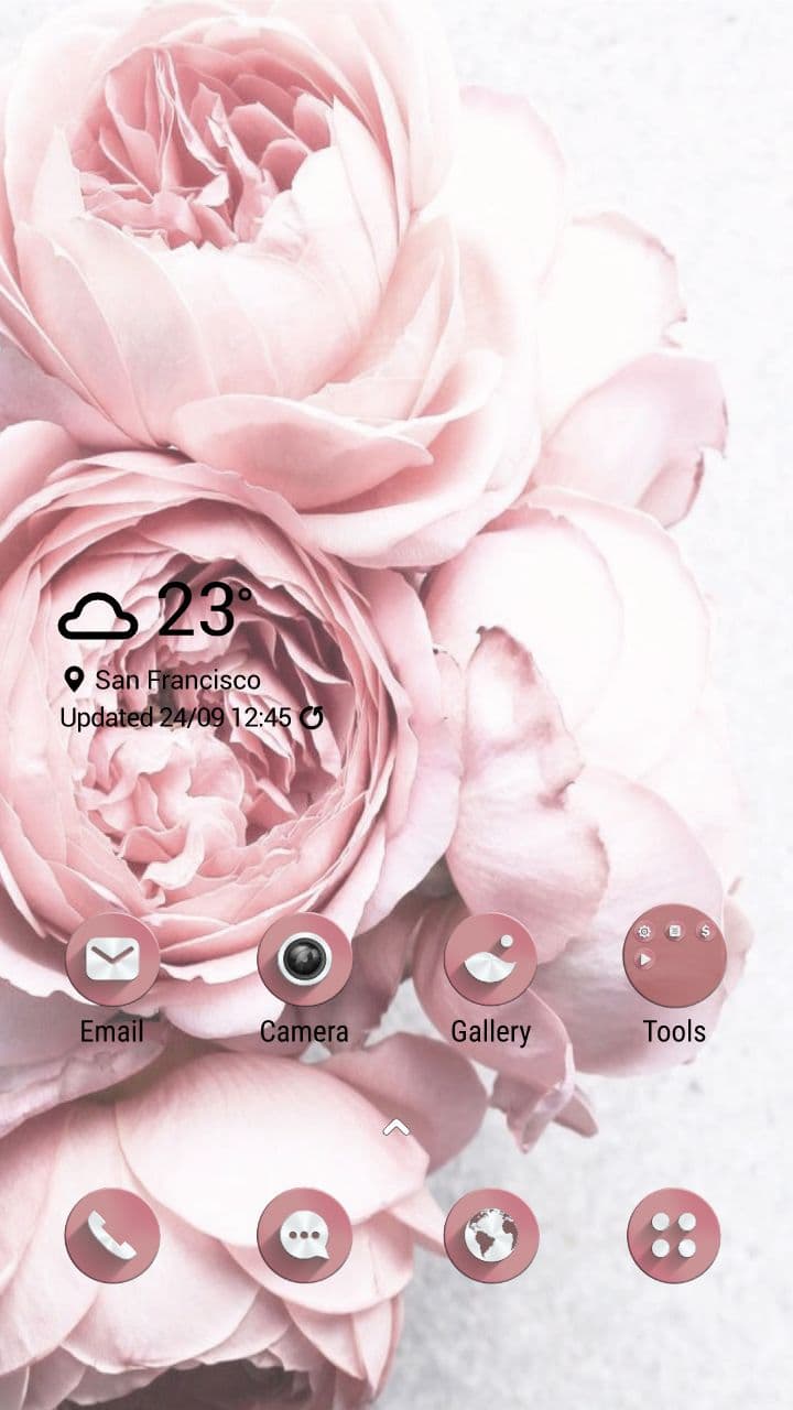 Zartrosa Pfingstrosen