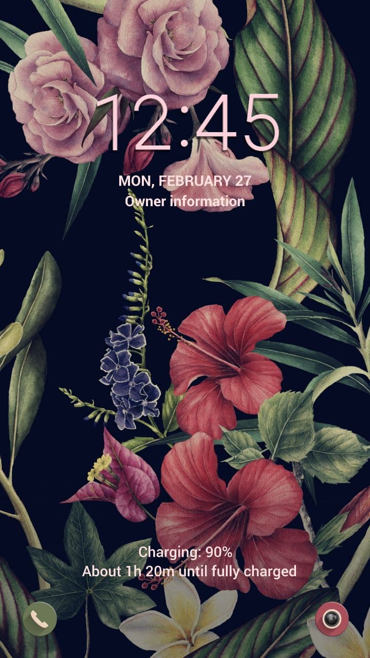 Bunte Tropische Blumen