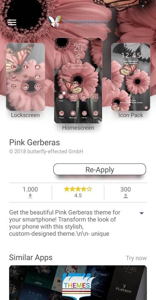 Rosa Gerbera