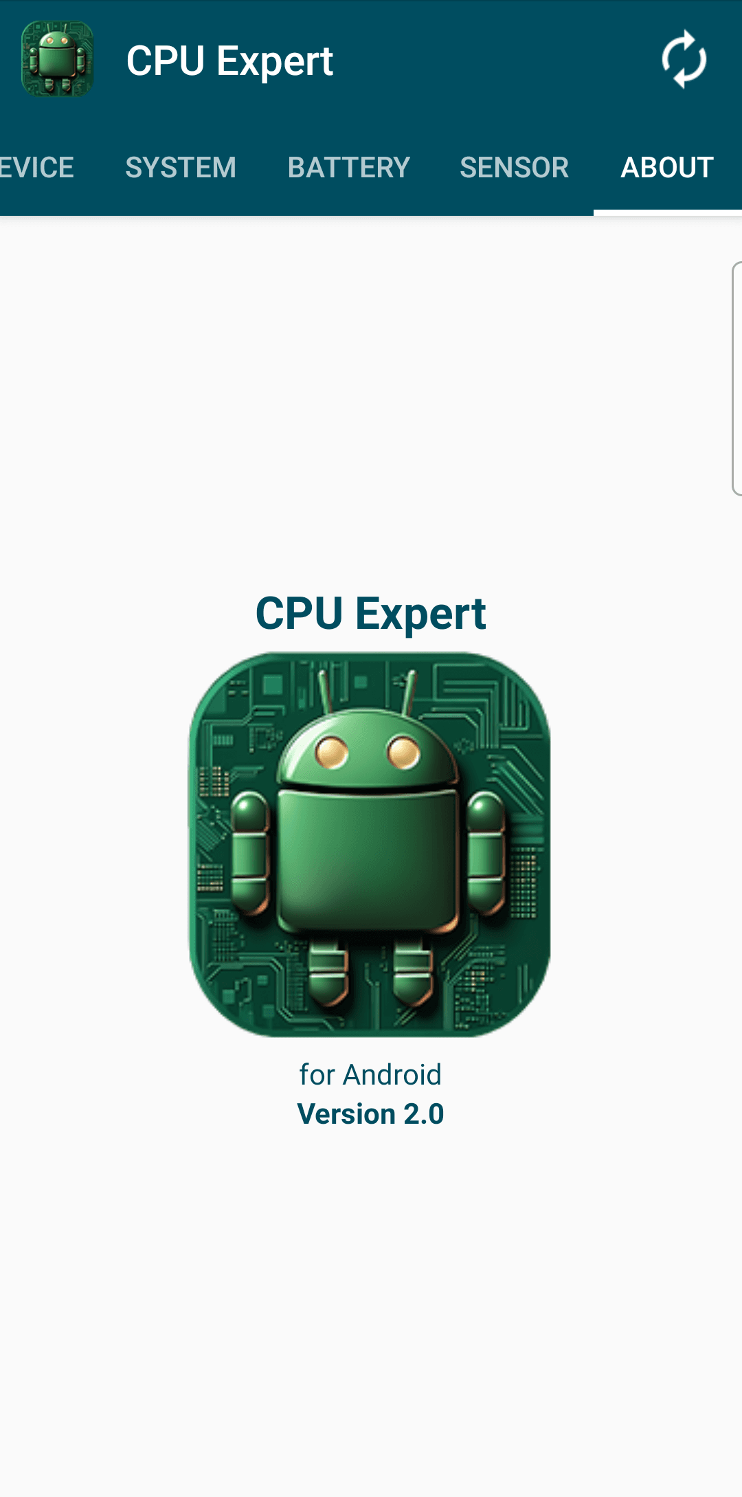 CPU-Experte