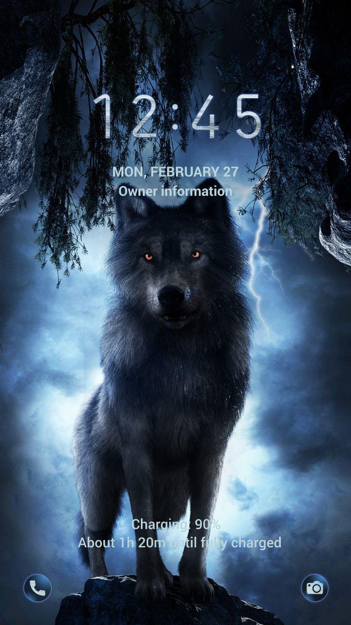 Wolf Im Dunkeln