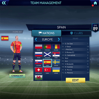 Football Championship 2020