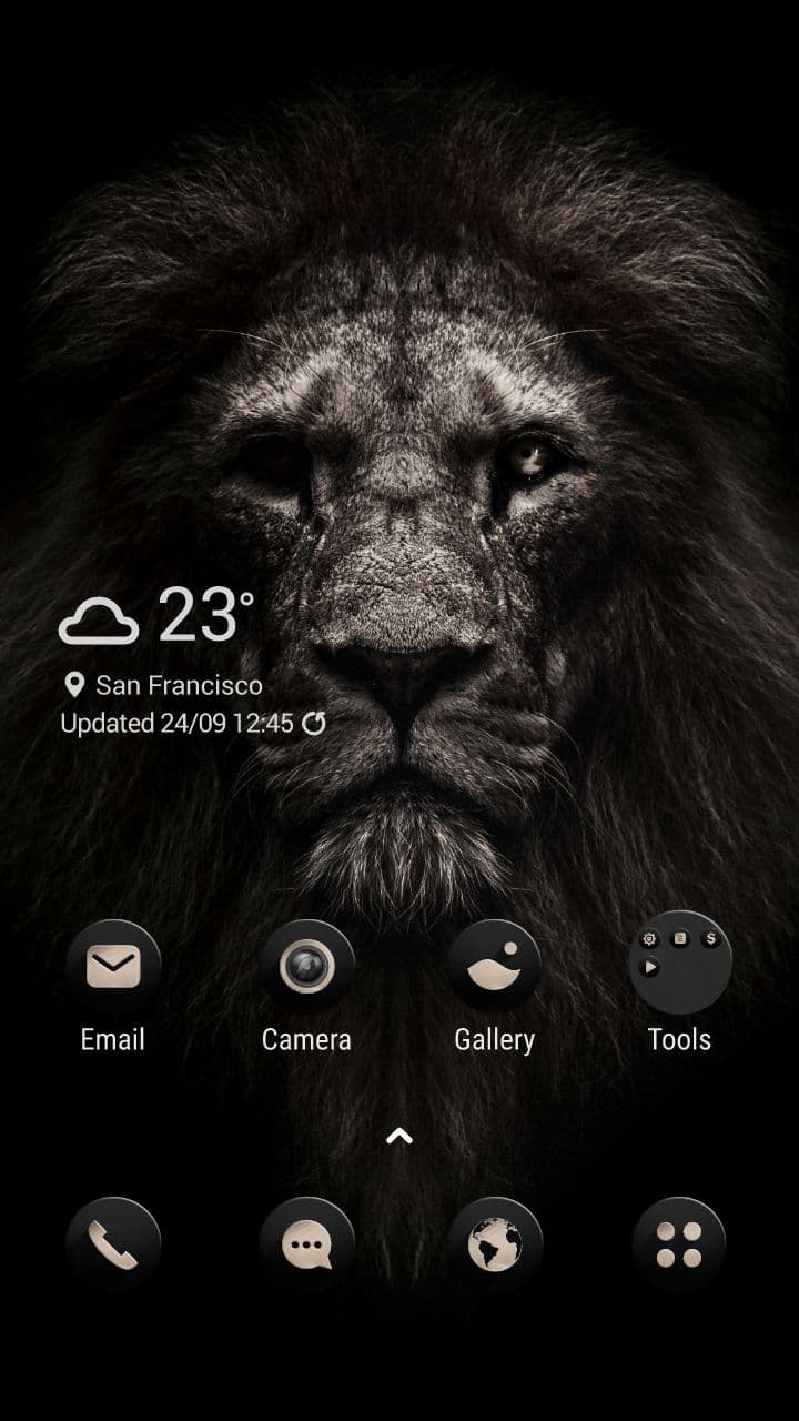 Don't Mess With The King