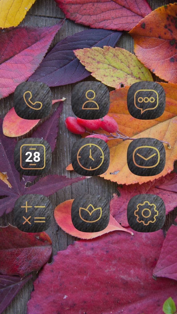 Herbstlaub Und Beeren