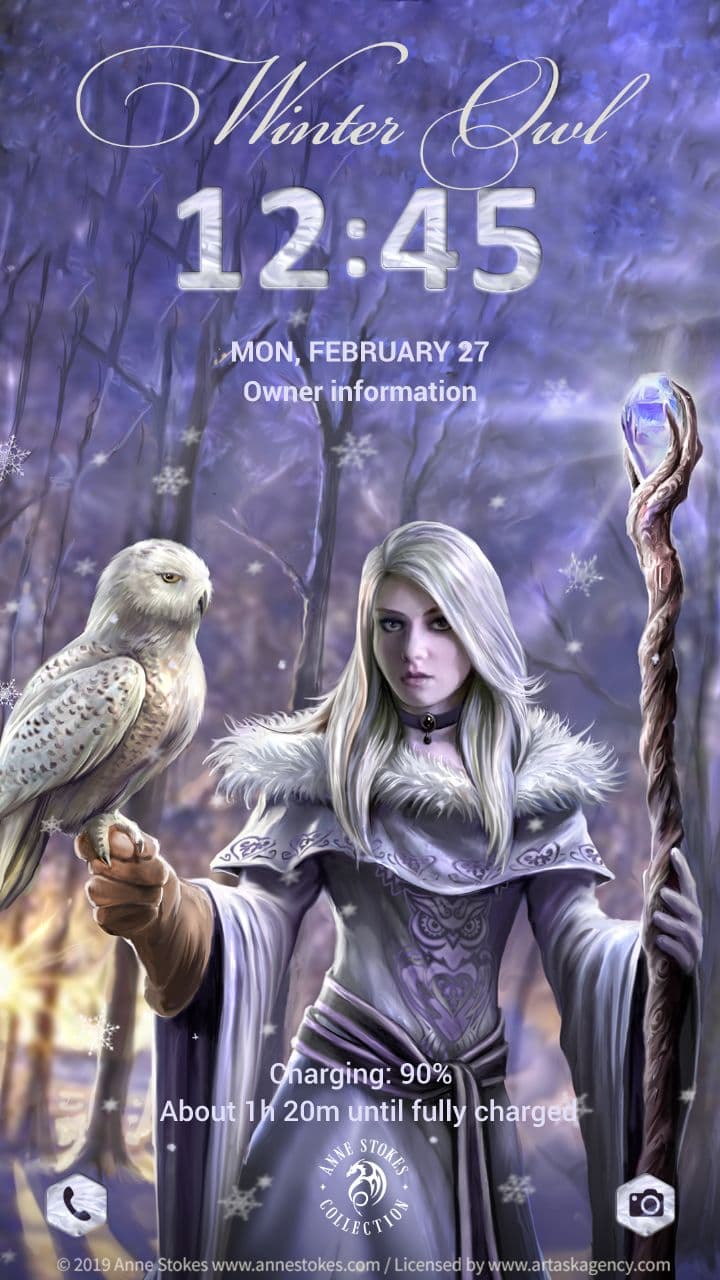 Anne Stokes: Winter Owl