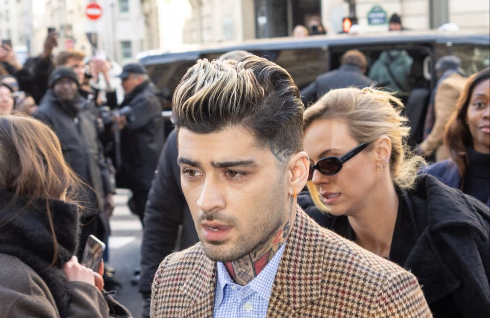 Zayn Malik: Vom Popstar zum Farmer?